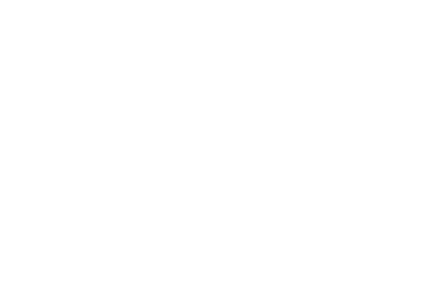 Logo FemRD